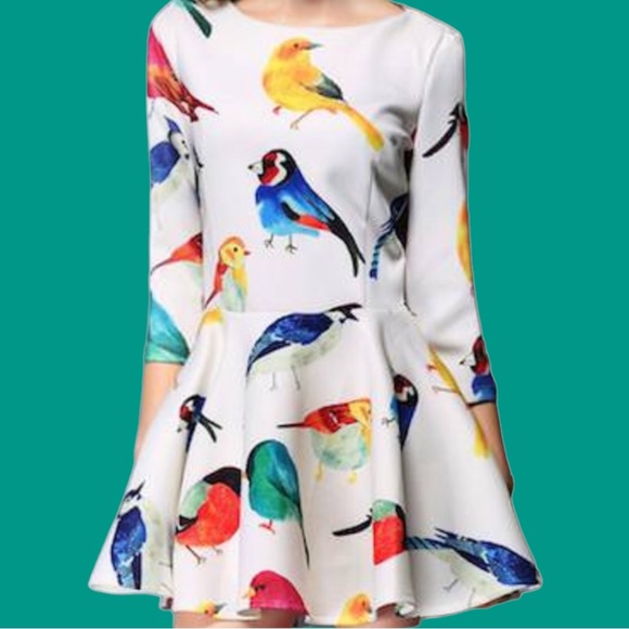 NWT White Peplum Drop Waist Multicolor Bird Print Scuba Mini Dress - Picture 9 of 10